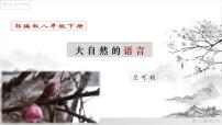 初中语文人教部编版八年级下册5 大自然的语言优质课件ppt