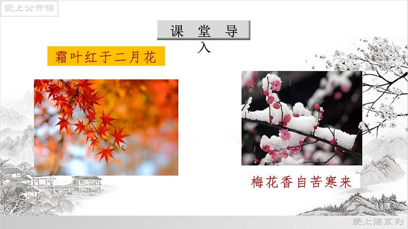 第5课《大自然的语言》课件第5页