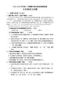 山东省枣庄市市中区2022-2023学年七年级上学期期中联合教研质量监测语文试题(含答案)
