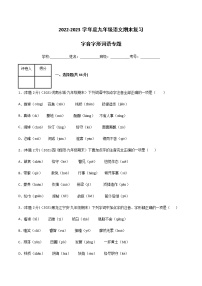 【期末专题复习】2022-2023学年 部编版语文 九年级上学期：专题01-字音字形词语（过关训练）