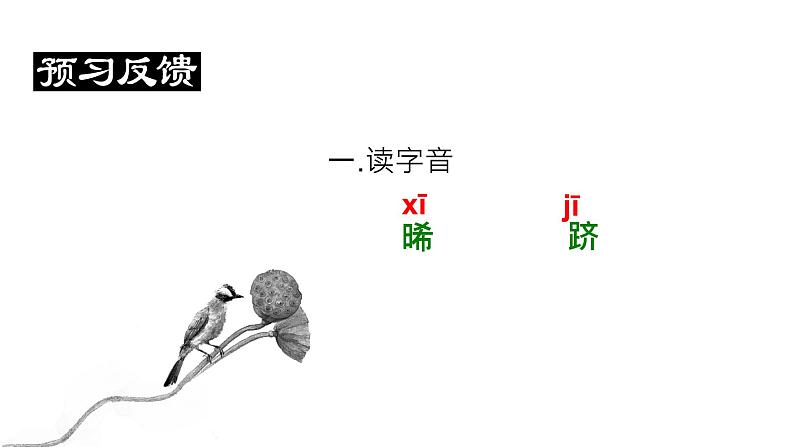 蒹葭 教学课件第7页