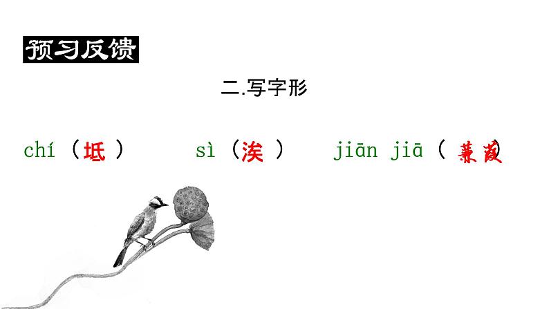 蒹葭 教学课件第8页