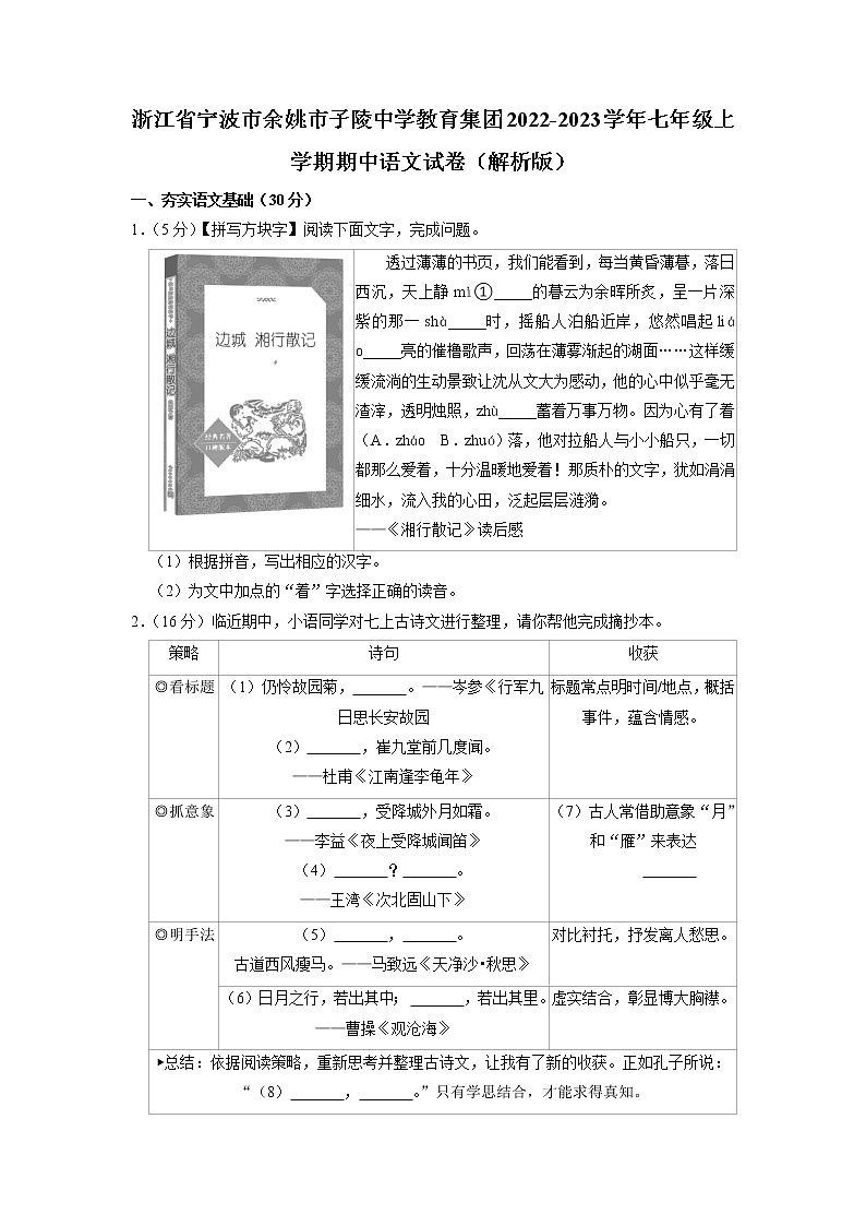 浙江省宁波市余姚市子陵中学教育集团2022-2023学年七年级上学期期中语文试卷01