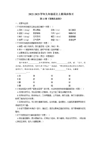 初中语文人教部编版九年级上册22 智取生辰纲课后复习题