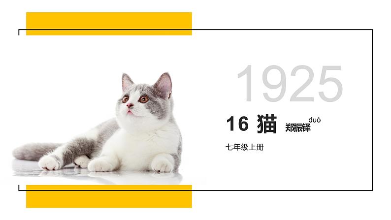 第16课《猫》课件2022—2023学年部编版语文七年级上册01