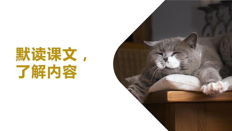 第16课《猫》课件2022—2023学年部编版语文七年级上册06