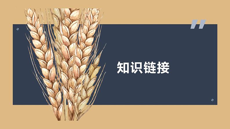 第12课《渔家傲 秋思》课件第3页