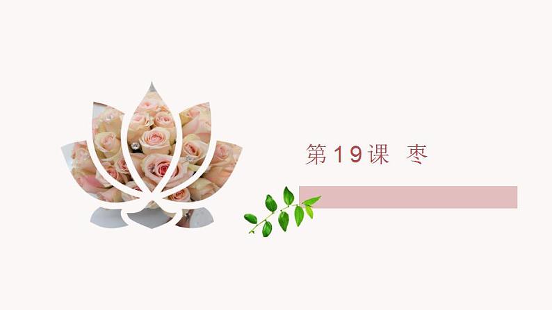 第19课《枣儿》课件01