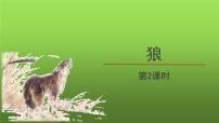 人教部编版七年级上册18 狼教学ppt课件