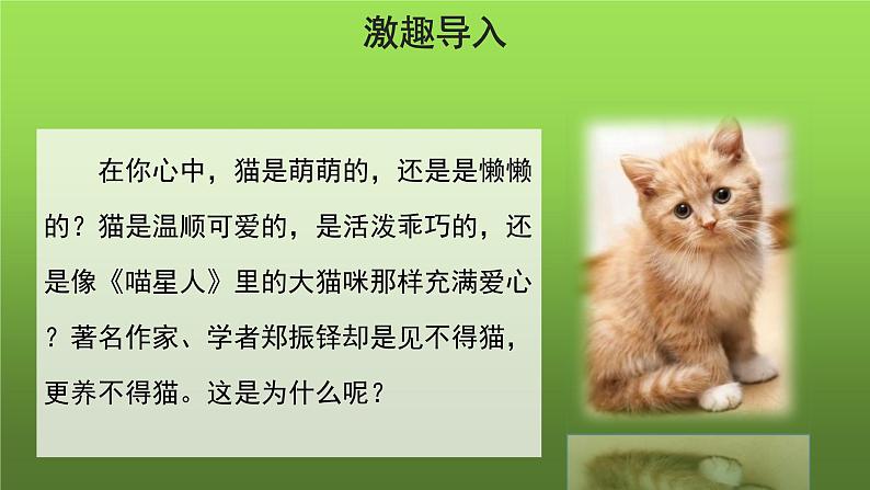 《猫》第1课时优质教学课件第2页