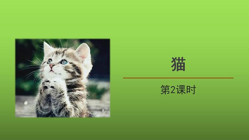 《猫》第2课时创优课件第1页