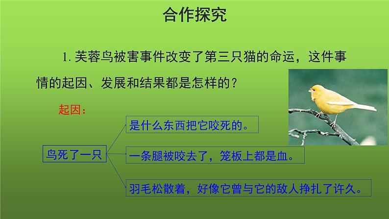 《猫》第2课时优质教学课件06