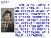 九下语文《海燕》优秀课件