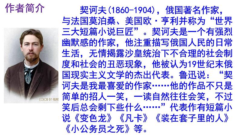 九下语文《变色龙》优秀课件第4页
