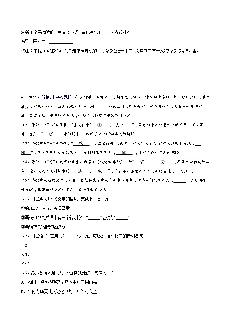 备战2023年江苏中考语文专题训练01：基础综合第3页