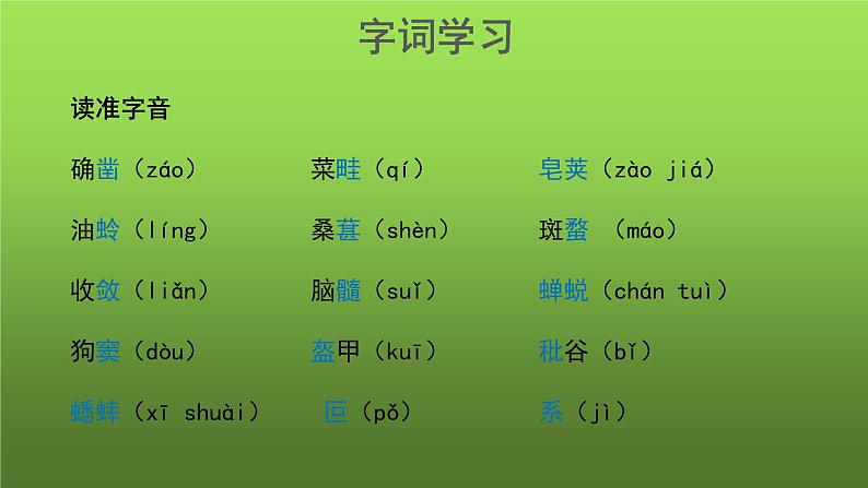 《从百草园到三味书屋》第1课时示范教学课件05