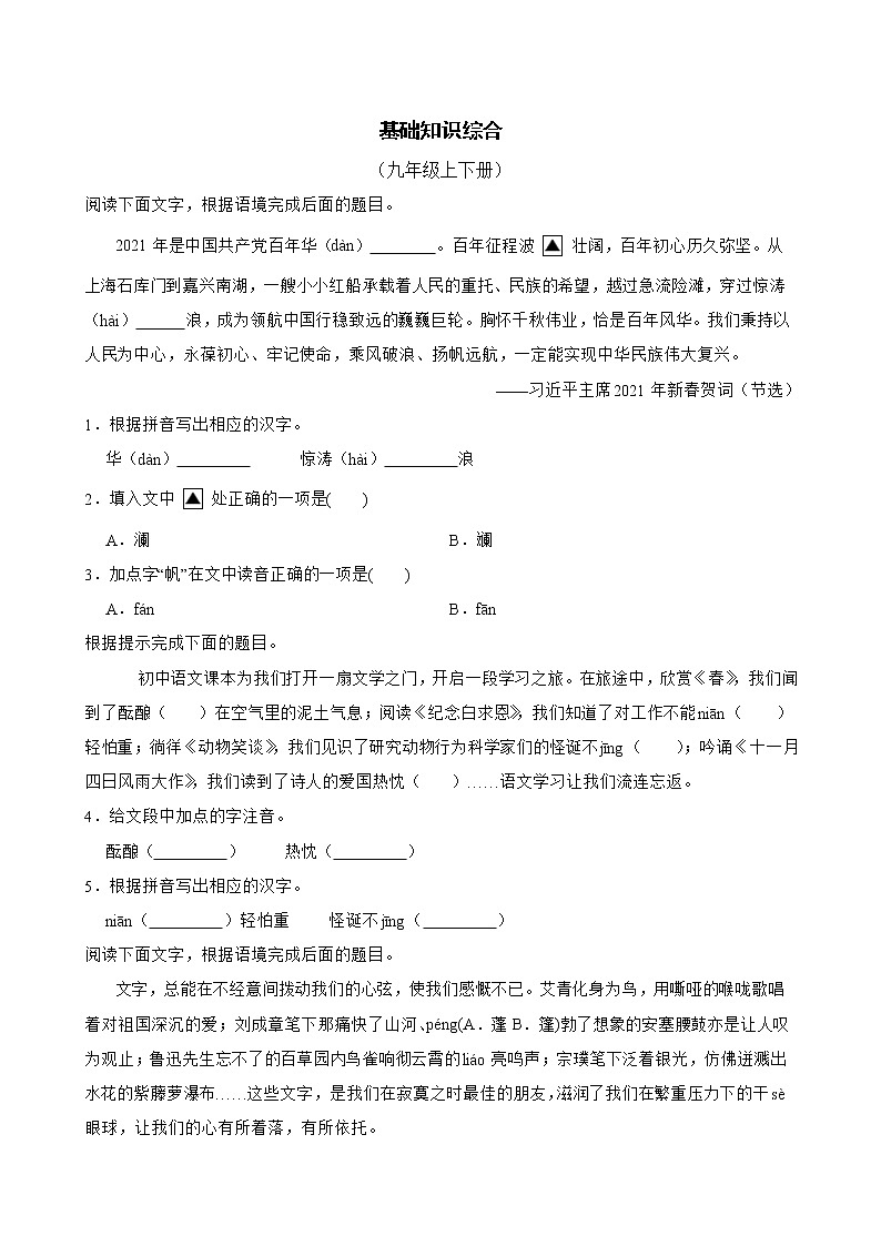 基础知识综合——部编版语文九年级上学期期末专项复习（原卷版）第1页