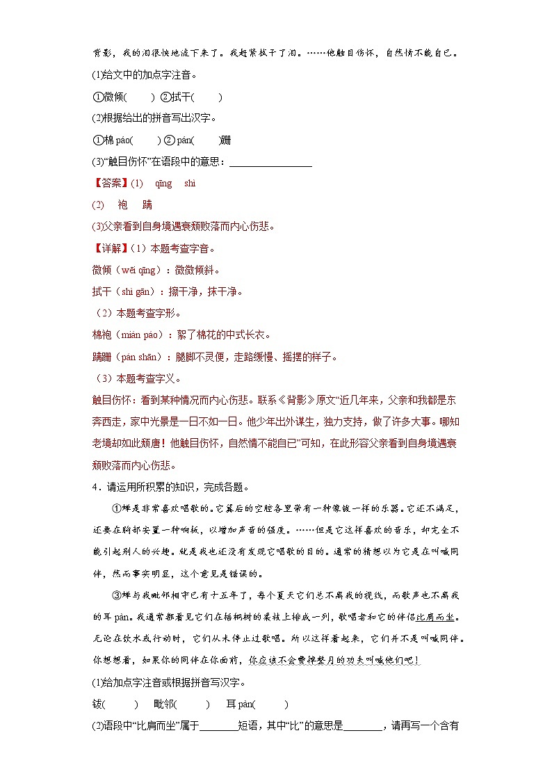 基础知识综合——部编版语文八年级上学期期末专项复习（解析版）第3页