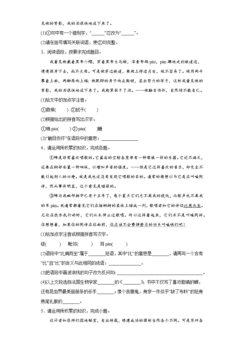 基础知识综合——部编版语文八年级上学期期末专项复习（原卷版）第2页