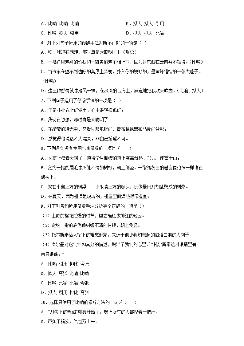 修辞手法——部编版语文八年级上学期期末专项复习 试卷练习02