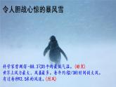 新人教版初中语文七年级下册《伟大的悲剧》课件