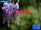 新人教版初中语文七年级下册《紫藤萝瀑布》课件