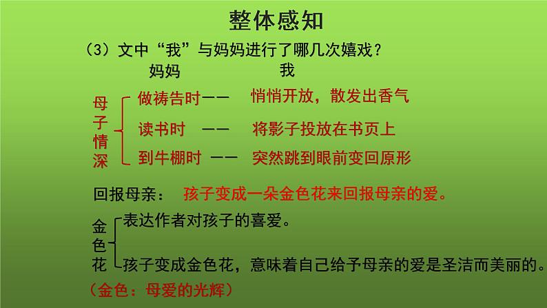 《金色花》同课异构教学课件07