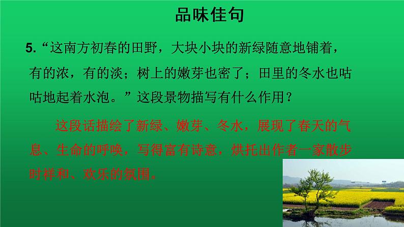 《散步》第2课时同课异构教学课件第6页