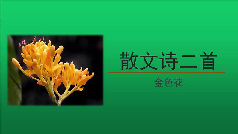 七上语文第二单元散文诗二首第1课时精品教学课件01