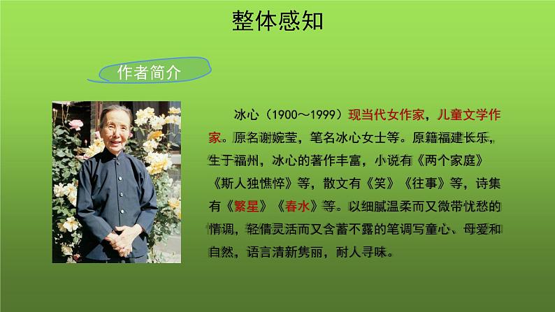 《荷叶 母亲》培优教学课件03