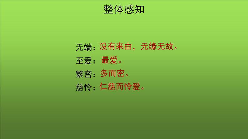 《荷叶 母亲》培优教学课件04