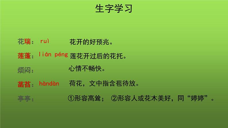 《荷叶 母亲》同课异构教学课件第5页