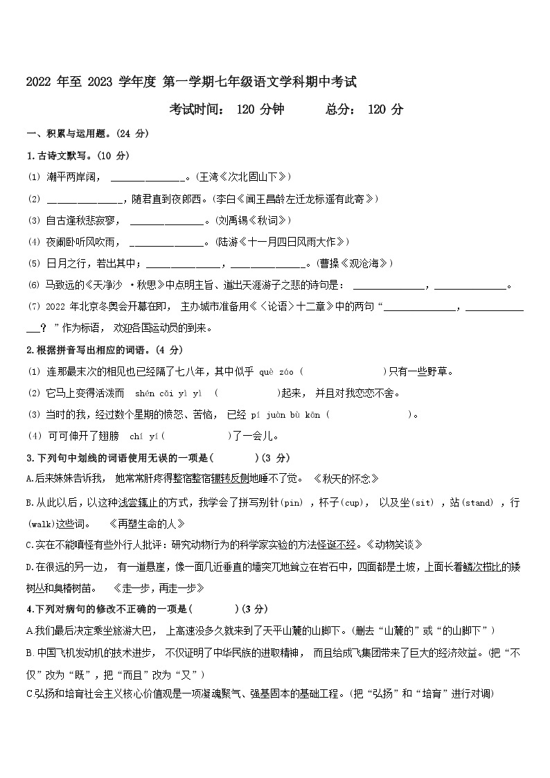 广东省惠州市大亚湾区2022-2023学年七年级上学期期中考试语文试卷(含答案)01