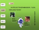 《热爱生活，热爱写作》优创同步教学课件