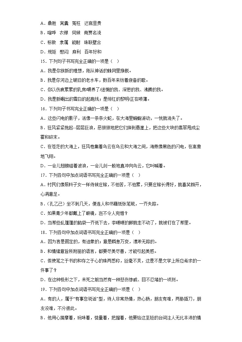 中考语文一轮复习通关训练--字形（九年级练习）（原卷版+解析版）第3页