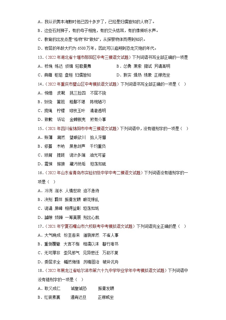 中考语文一轮复习通关训练--字形（真题及模拟）-（原卷版+解析版）03