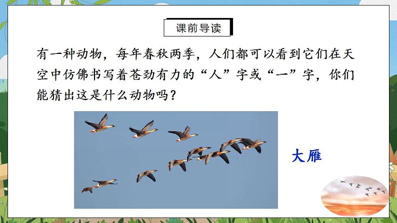 7《大雁归来》课件PPT第2页