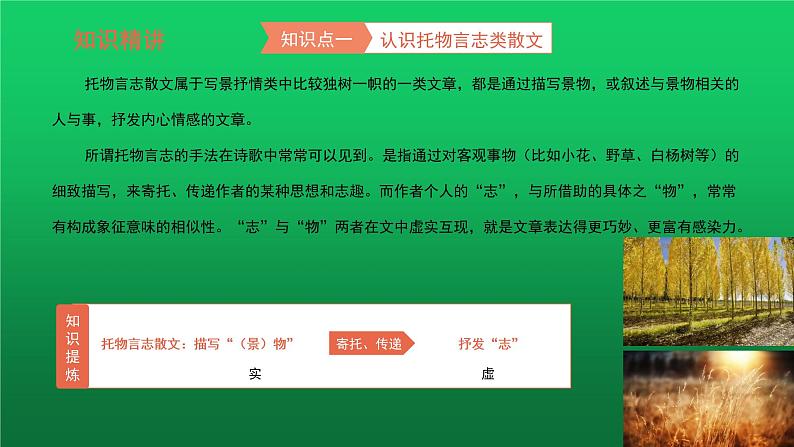 中考语文托物言志类阅读复习课件第4页