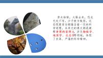人教部编版八年级下册第二单元5 大自然的语言多媒体教学课件ppt