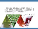 部编版八年级语文下册课件 第二单元  5大自然的语言