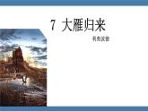 部编版八年级语文下册课件 第二单元   7大雁归来