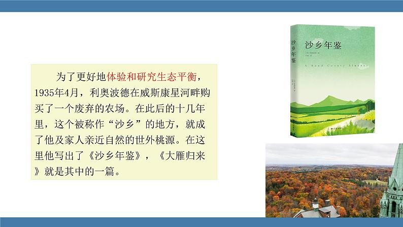 部编版八年级语文下册课件 第二单元   7大雁归来第5页