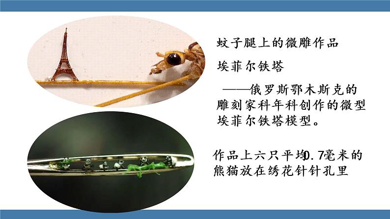 部编版八年级语文下册课件 第三单元    11核舟记05