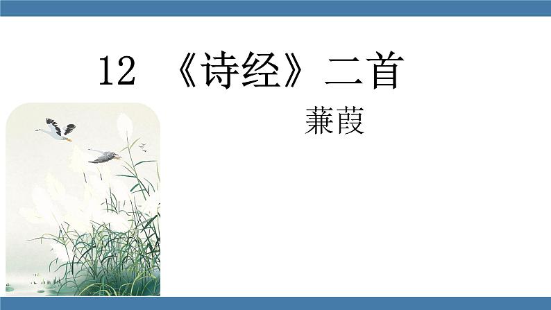 部编版八年级语文下册课件 第三单元    12《诗经》二首 蒹葭第1页