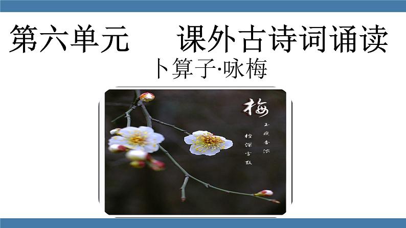 部编版八年级语文下册课件 第六单元  课外古诗词诵读 卜算子 咏梅01
