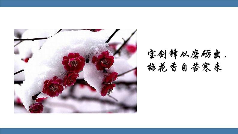 部编版八年级语文下册课件 第六单元  课外古诗词诵读 卜算子 咏梅03