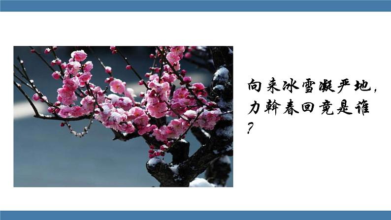 部编版八年级语文下册课件 第六单元  课外古诗词诵读 卜算子 咏梅04