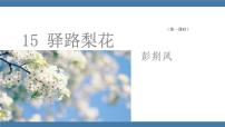初中语文人教部编版七年级下册15 驿路梨花课前预习ppt课件