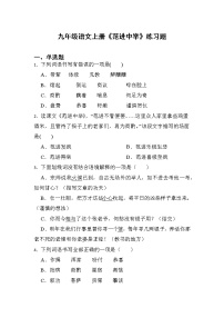 初中语文人教部编版九年级上册第六单元23 范进中举同步达标检测题