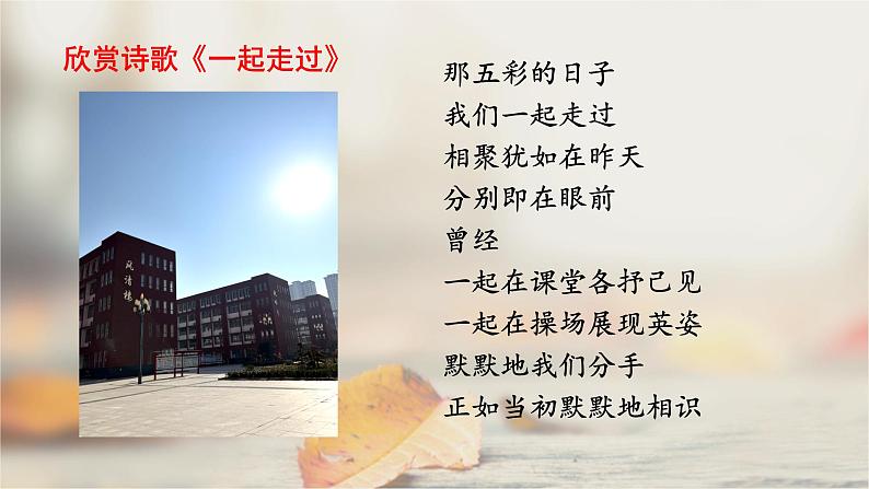 《我们的初中生活》 课件试卷练习07